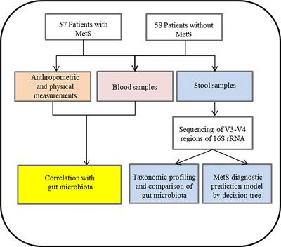 Profiles and diagnostic value of intestinal microbiota in schizophrenia patients with metabolic syndrome